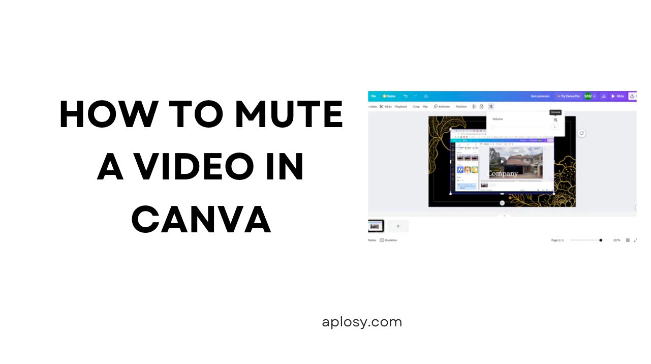 how-to-mute-video-in-canva-aplosy